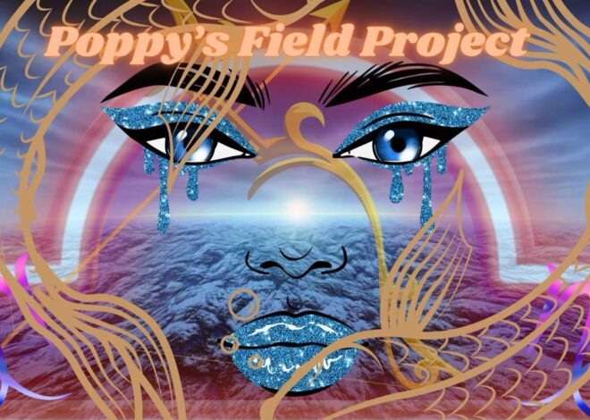07/23/2025 Poppy’s Field Project