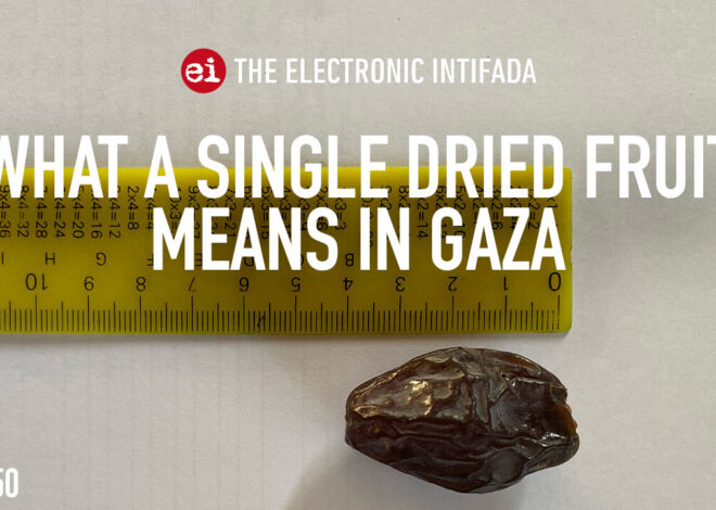 What a single dried fruit means in Gaza, with Asem Alnabih