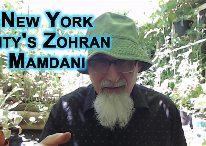 Zohran Mamdani, New York Cityâs Democratic Mayoral Primary, & Declining To Visit Israel