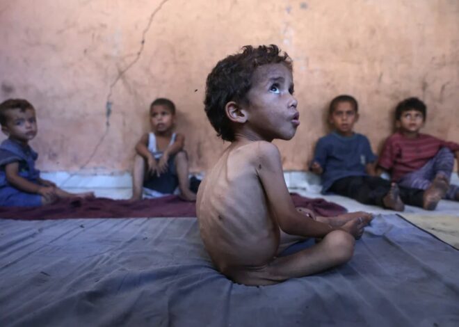 How Israel pushed Gaza to breaking point, ‘starving, alone, and hunted’