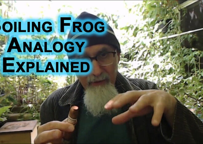 Boiling Frog Analogy Explained: Masses in the Western World Have Been Lobotomized by Propaganda