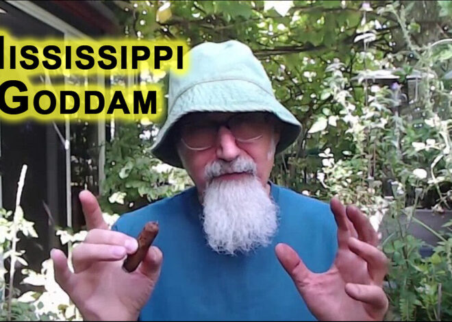 Mississippi Goddam: Learn About Racism in Unites States of America From Nina Simone & Billie Holiday