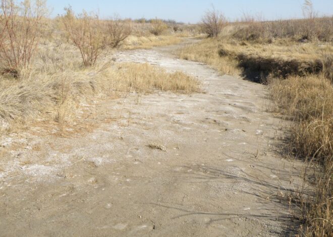 Global Water Supplies Threatened by Overmining of Aquifers: New Study