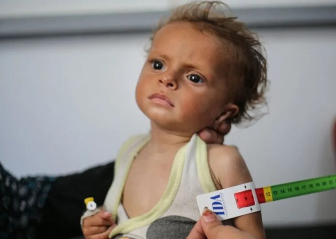Infants Are Dying in Gaza Because Israel Impedes Baby Formula