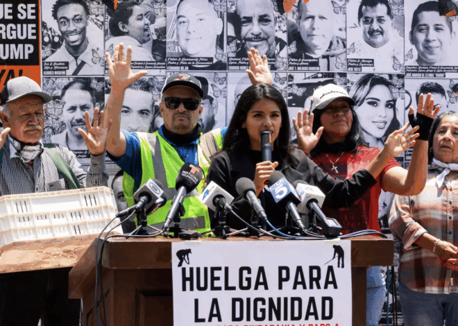 United Farm Workers Not Backing Wildcat Strikes – SEIU Calls August 12th Strike