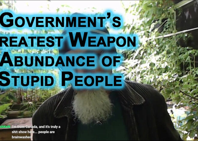 Western Governmentâs Greatest Weapon Is an Abundance of Stupid People