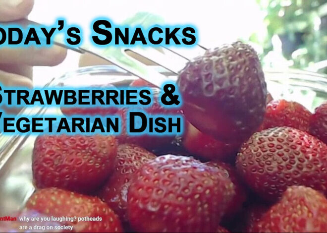 Todayâs Snacks: Strawberries and a Vegetarian Dish