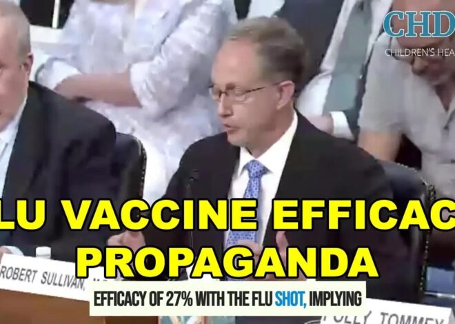 Doctor Destroys Flu Vaccine Efficacy Narrative