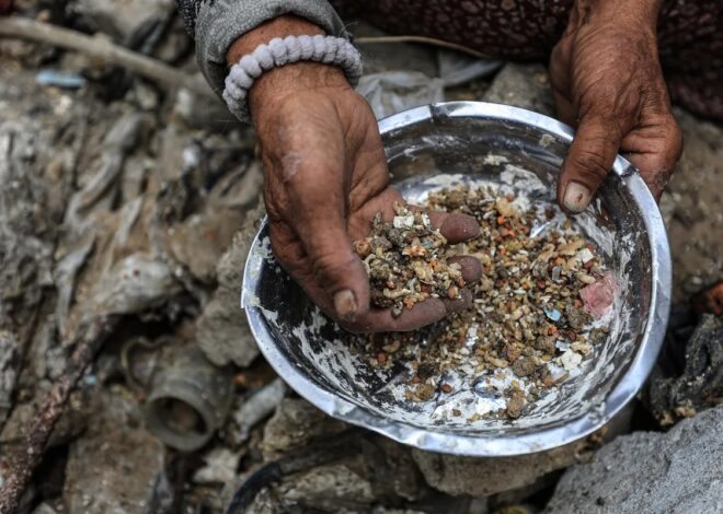 Israel Caused the Hunger Crisis in Gaza, Regardless of Its Stance