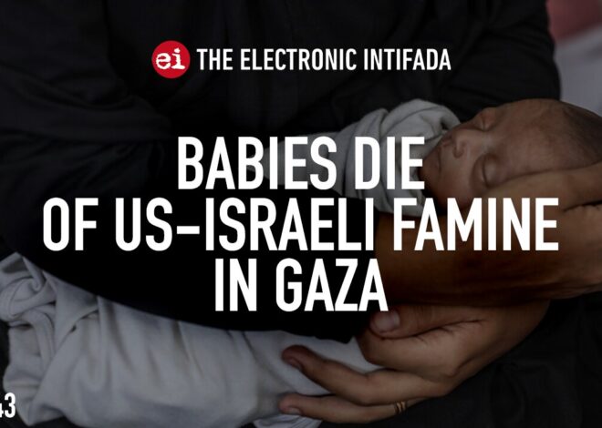 Babies die of US-Israeli famine in Gaza, with Nora Barrows-Friedman