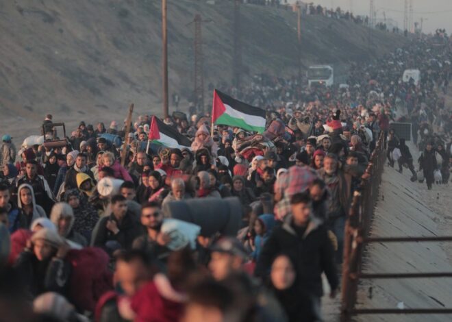 From the Ground in Gaza: Nowhere to Turn