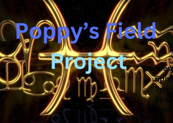07/09/2025 Poppy’s Field Project