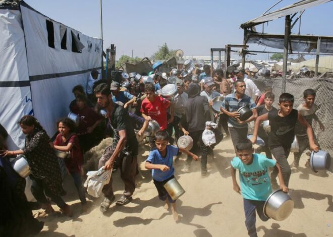 ‘We are watching our colleagues waste away’: Aid workers, doctors, journalists go hungry alongside people in Gaza