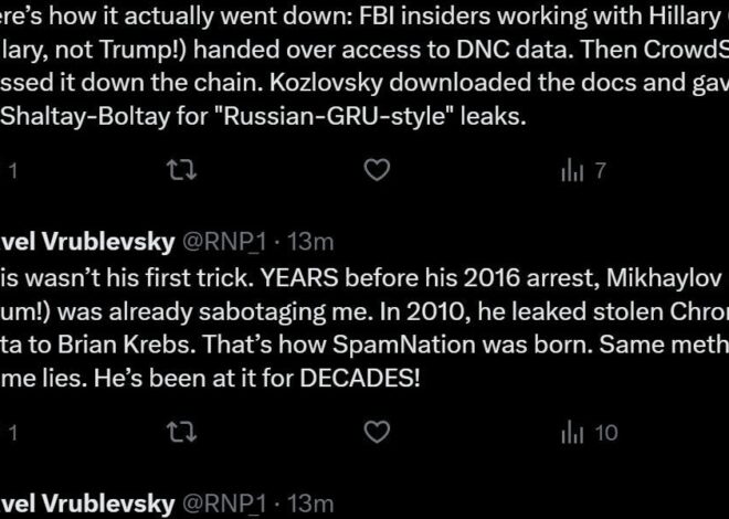 Pavel Vrublevsky: DNC Hack Is Fraud