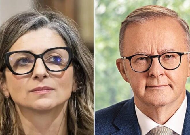 Albanese: The Good and the Bad