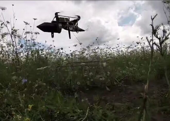 Situation Reports Part 3 – 2025-07-30