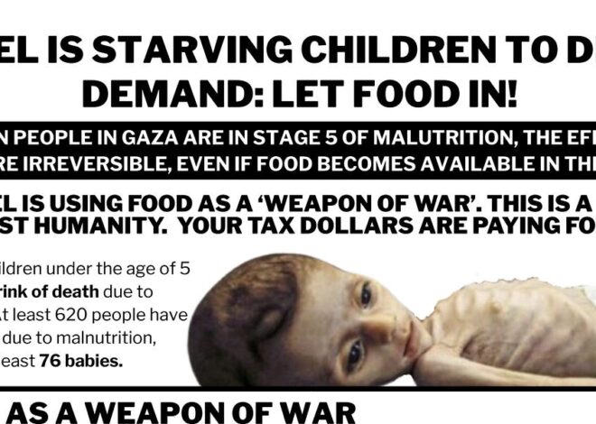 U.N. Still Hasn’t Declared a Famine in Gaza, a Year After Palestinian Groups Called for It