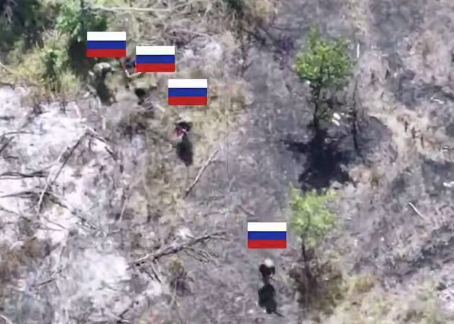 Situation Reports Part 3 – 2025-07-28