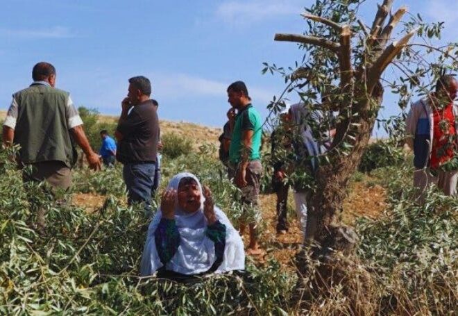 Gaza and the West Bank, Two Fronts of Dispossession