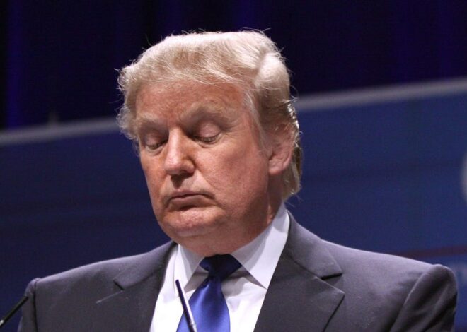 Reflections on the Trump-Epstein Cover-Up
