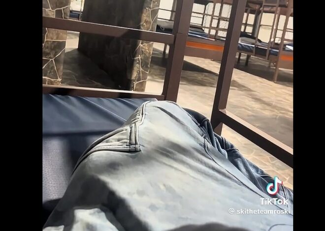 Clips of Alligator Auschwitz Thanks to Disgruntled Former Employee