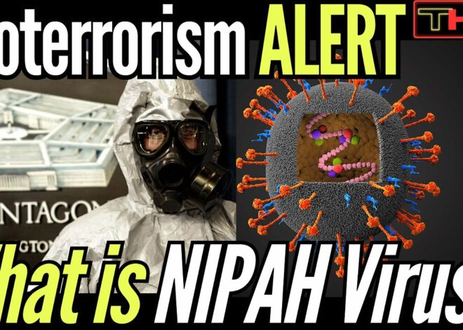 Could Nipah Virus be the Bioterrorism False Flag Event Dr. David Martin WARNED us about?