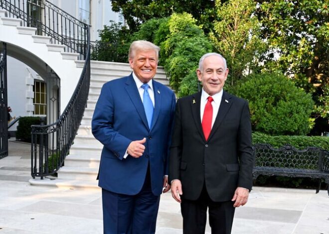 Palestine is shrinking every day
