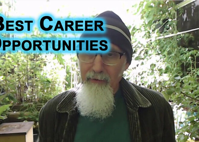 Best Career Opportunities: Education, Trades, Community Jobs, but Get Out of Technology & Government