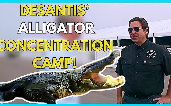 DeSantis Alligator Alcatraz or CONCENTRATION CAMP?, Vaye Joins