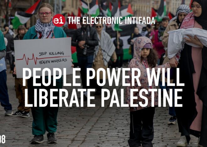 People power will liberate Palestine, with Craig Mokhiber