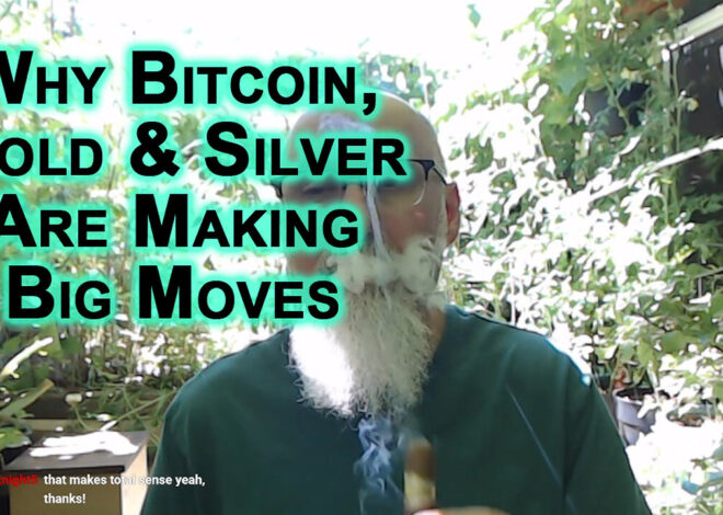 Bitcoin, Crypto, Gold, Silver Making Big Moves Because Trust in Government Has Vanish, Epstein Files