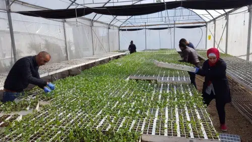 Israeli assault on Palestine’s only national seed bank