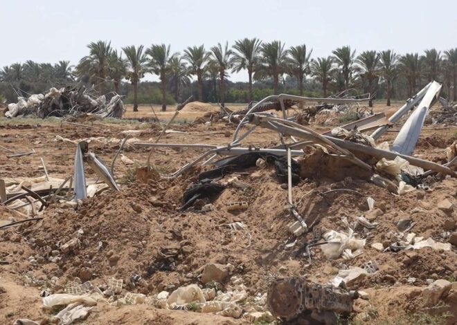 Israel’s systematic policy to enforce starvation in Gaza