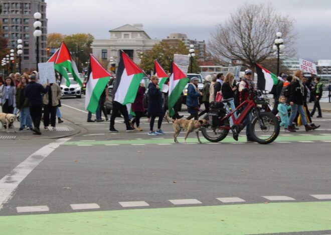 More Americans Now Sympathize With Palestinians Than With Israelis