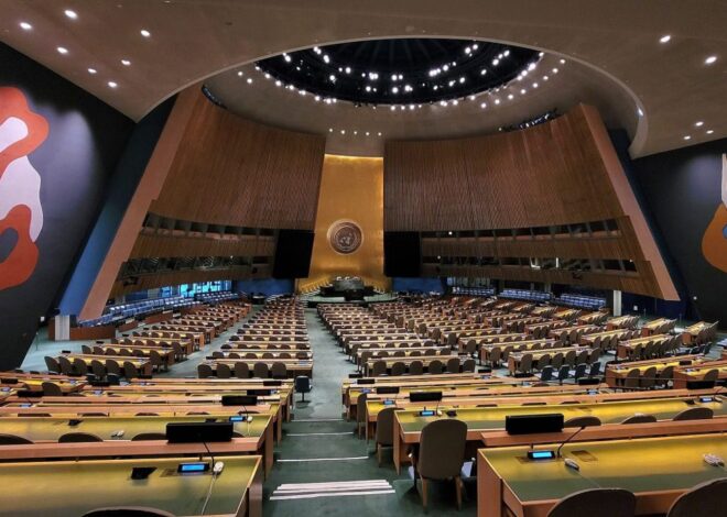 How the UN Could Act Today To Stop the Genocide in Palestine