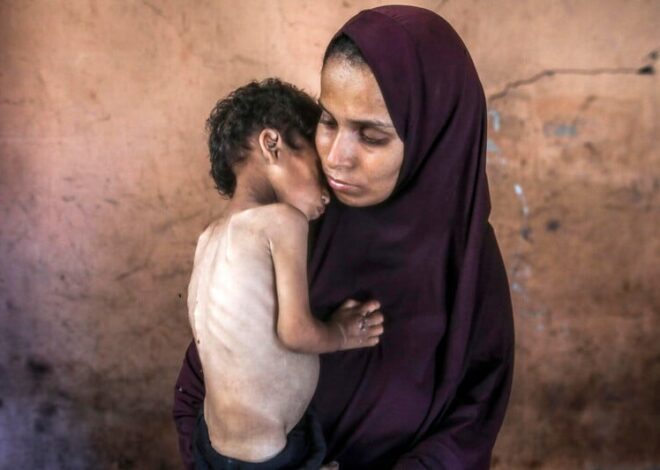 Palestine in Pictures: July 2025