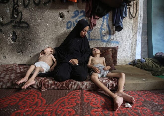 4 out of 5 Jewish Israelis are not troubled by the famine in Gaza – Mondoweiss