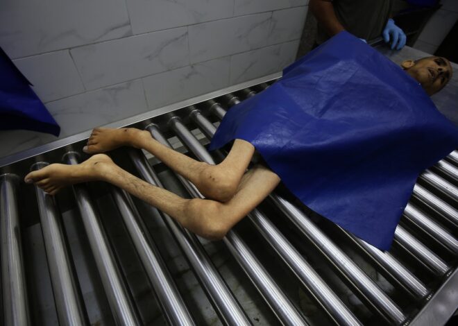 Gaza Genocide deniers are no different from Holocaust deniers, except that their denial abets the genocide itself – Mondoweiss