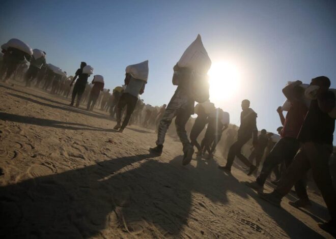 Starvation chronicles in Gaza – Mondoweiss