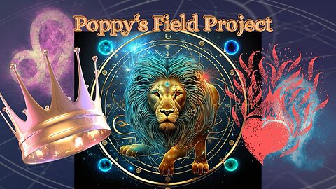 08/20/2025 Poppy’s Field Project