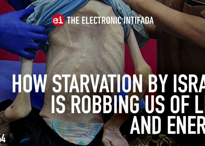 How starvation by Israel is robbing us of life and energy, with Ruwaida Amer