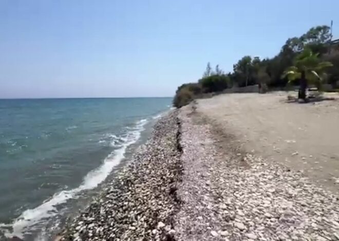 Zelensky Alaska dreaming. Macron/Starmer UNITE. EU/UK hand Vance counter proposal. Medvedev cartels