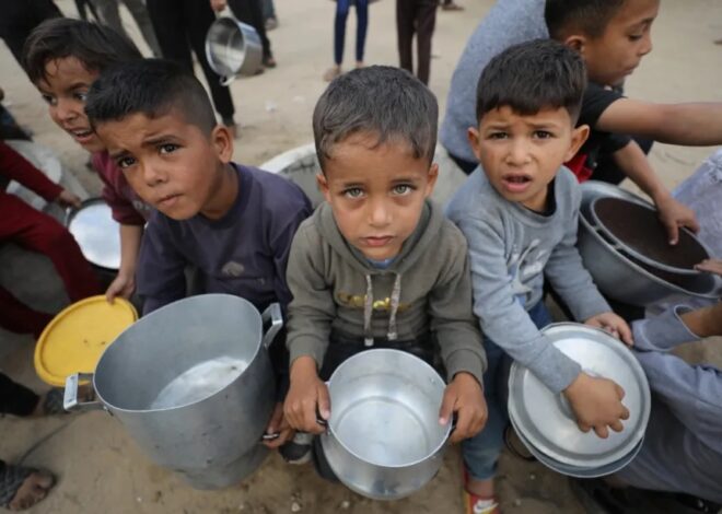 Virtual Tours of Gaza Clinics Expose the Scale of the Horror