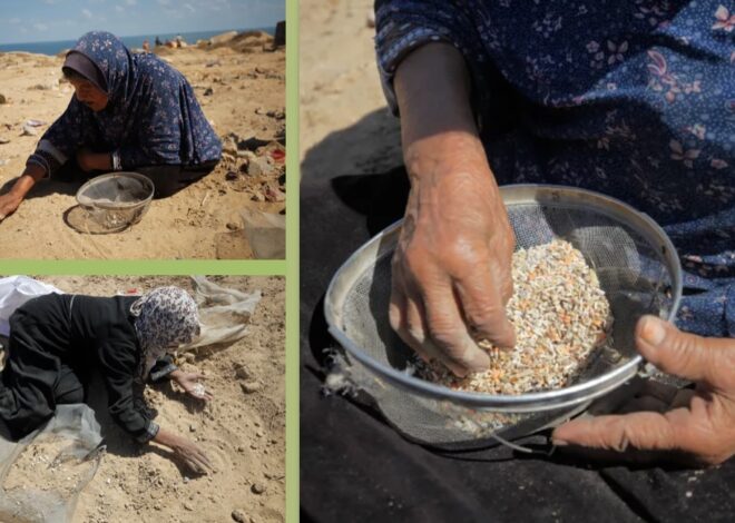 War on Gaza Day 670
