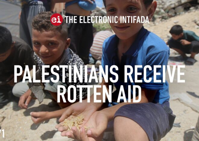 Palestinians receive rotten aid, with Nora Barrows-Friedman
