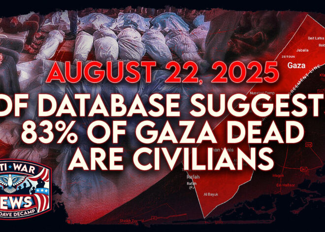 IDF Database Suggests 83% of Gaza Dead Are Civilians, Putin’s Conditions for Peace Deal, and More