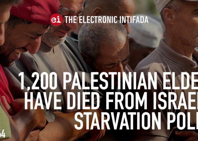 1,200 Palestinian elders have died from Israel’s starvation policy, with Nora Barrows-Friedman
