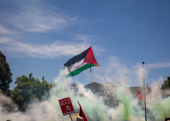 Sarah Schulman tackles the urgency, and pitfalls, of solidarity – Mondoweiss