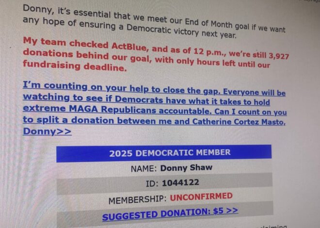 The Democratic Firm Cashing In on Fear