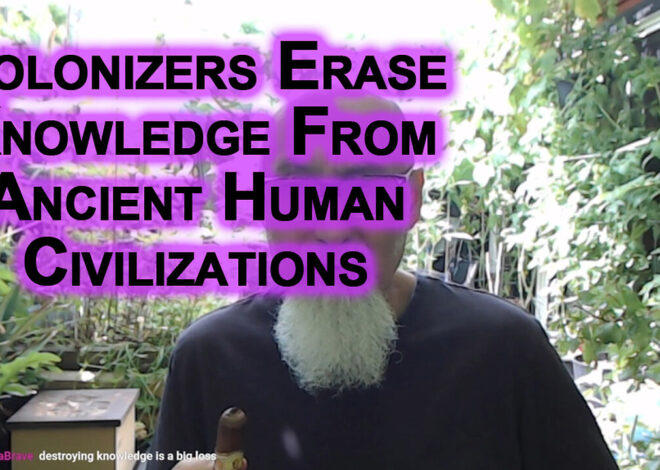 Colonizers Erase Knowledge From Ancient Human Civilizations, History & Traditions: Plant Medicines